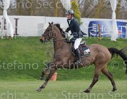 Wiering World Wide TosTour 2013- S5 7850 : Arezzo Equestrian Centre, Toscana Tour 2013, Wiering Harrie, World wide, foto di Stefano Secchi ©